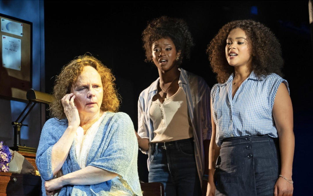 Cheapest Costs and the Seating Map for The Shoenfeld Theatre, 2024: A Comprehensive Guide to” The Book”